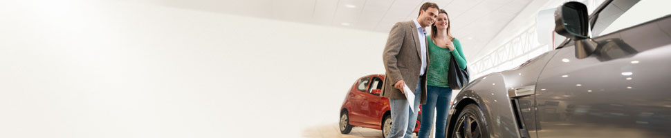 Advice Buying Selling Insuring and Maintaining a