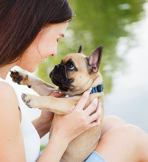 is a service dog covered by insurance